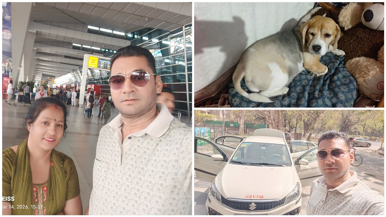 आज का दिन बहुत  व्यस्त रहा मिष्ठी की कटिंग से लेकर गाड़ी की धुलाई शीट कवर तक । 