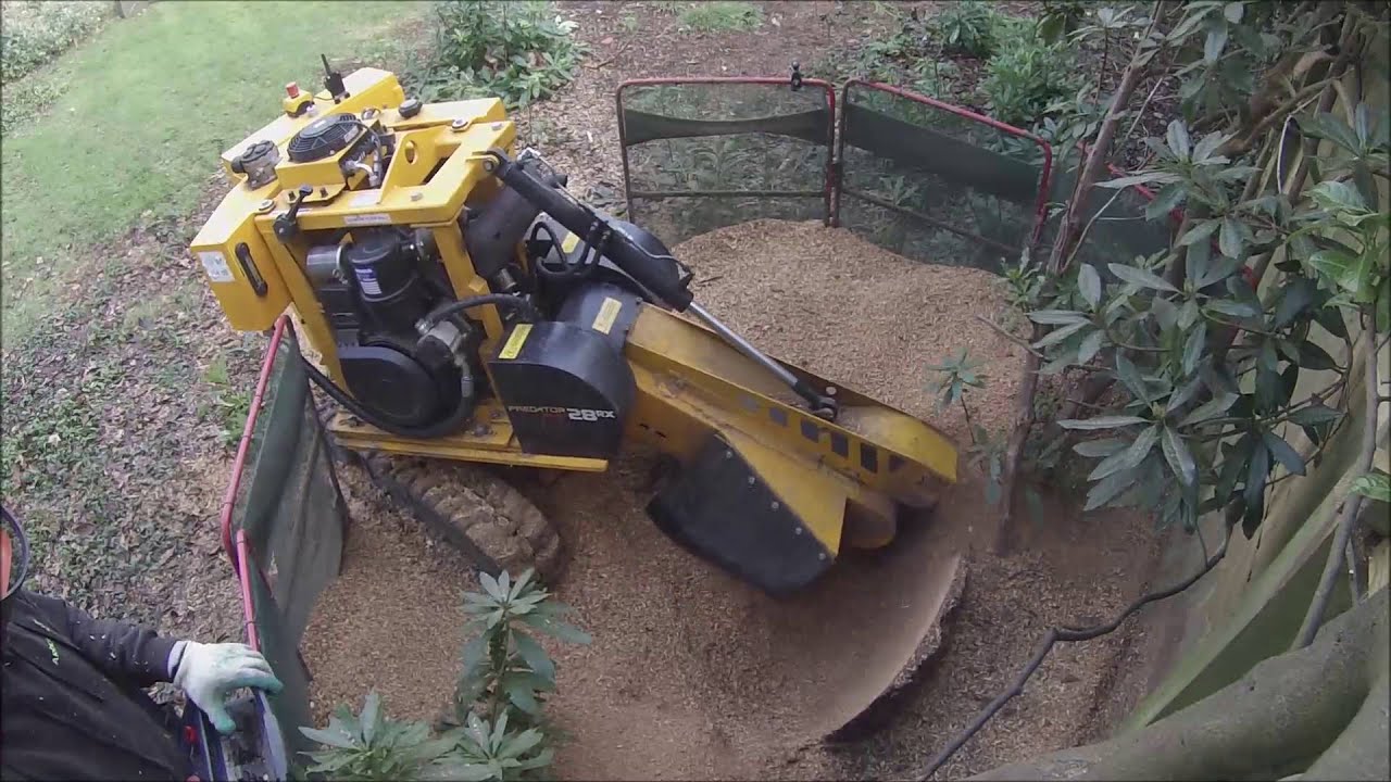 Stump grinder in Tunbridge Wells GOPRO HERO 3 PREDATOR P28 RX