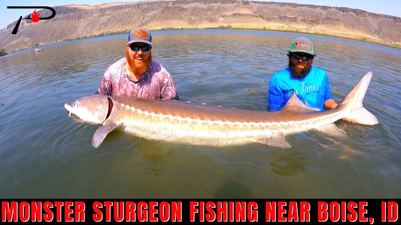 World Class Sturgeon Fishing Near Boise