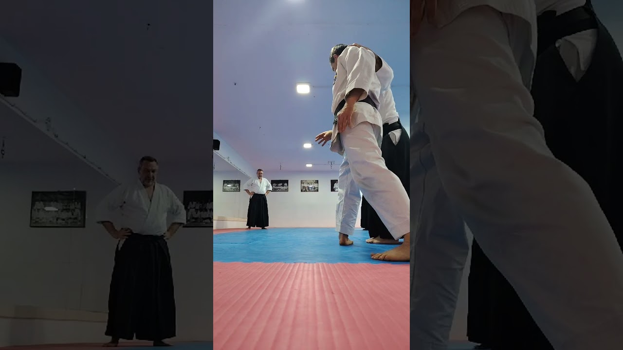 #aikido #class with Beckovic Edin