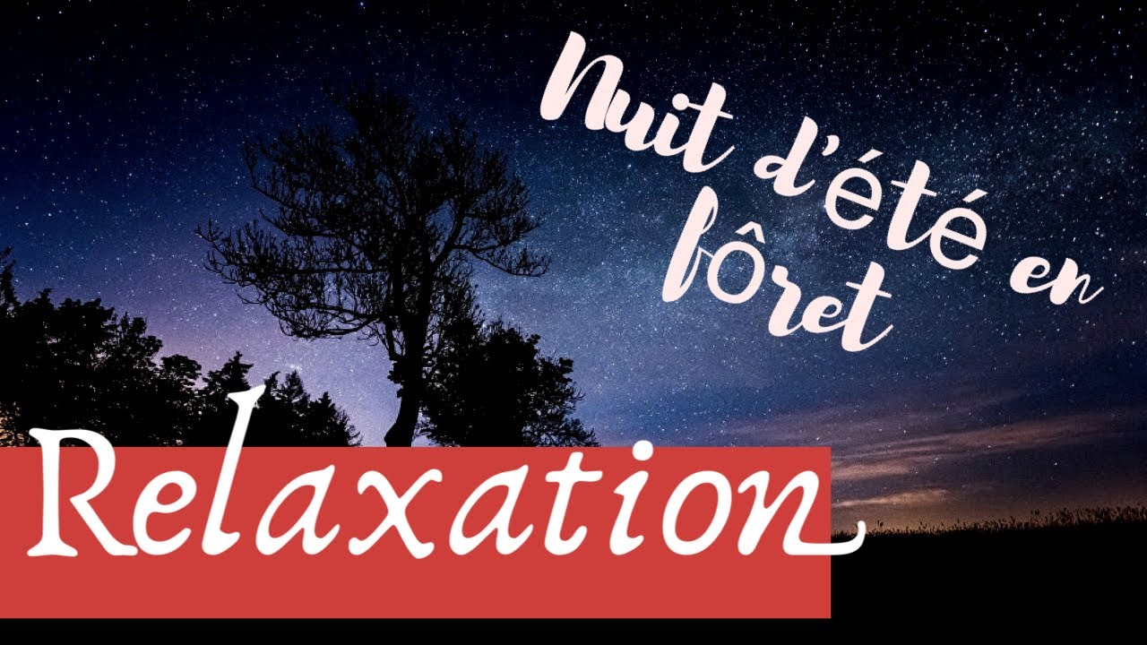 60 mn de Relaxation une nuit d'été en forêt  pour se détendre et bien dormir