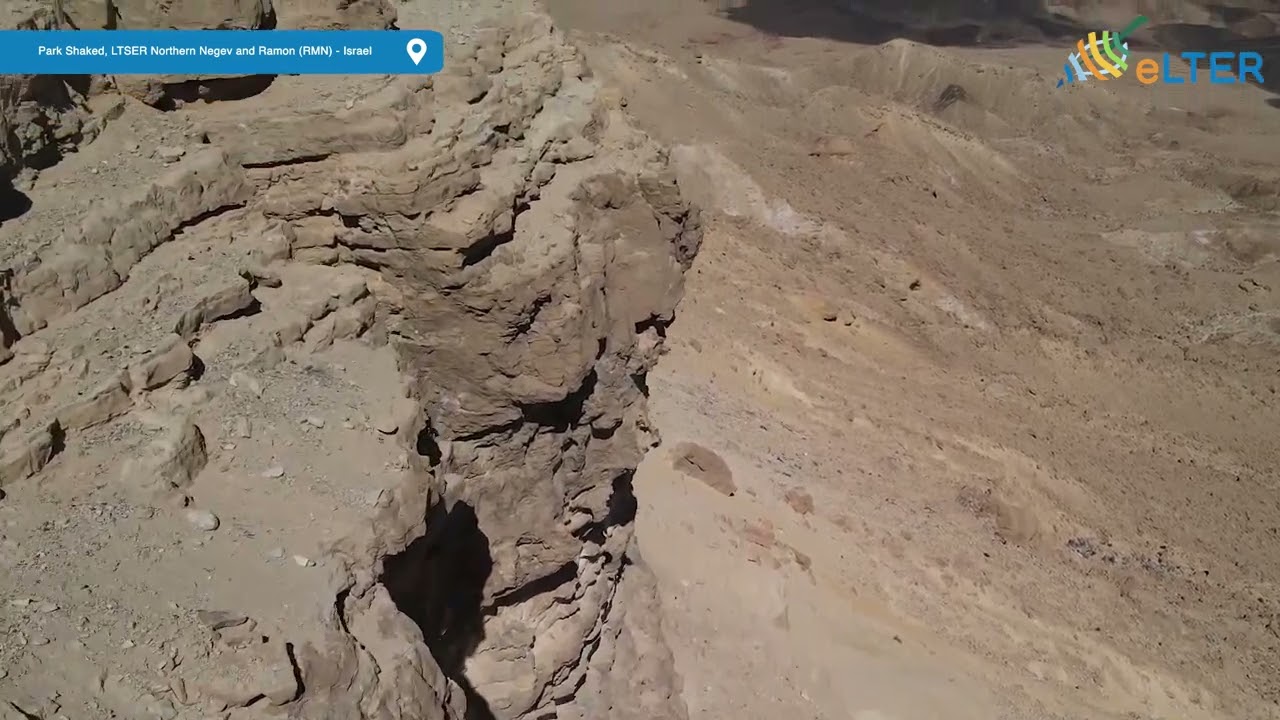 Park Shaked, LTSER Northern Negev and Ramon (RMN) - Israel