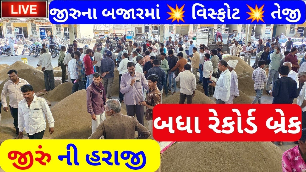 🔴 live cumin trading in Jasdan APMC,May 8, 2023