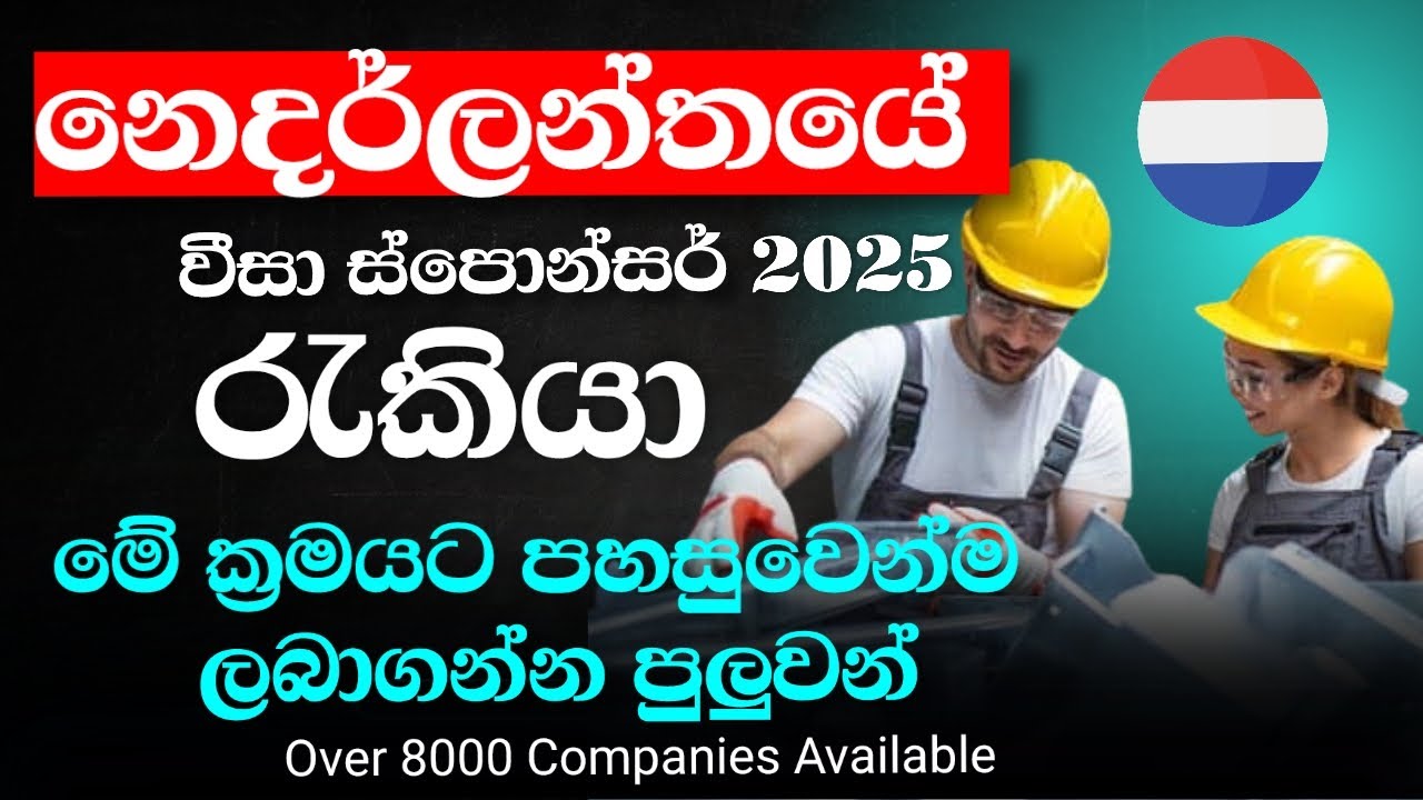 Netherland Sponsor Jobs 🇳🇱 නෙදර්ලන්තයේ ජොබ් එකක් මේ ක්‍රමයට ලේසියෙන්ම හොයාගන්න