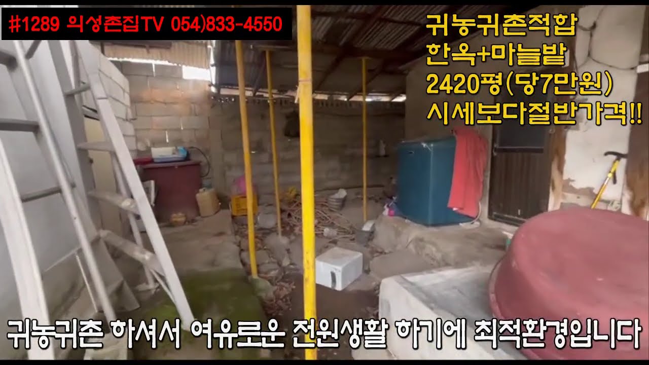 #1289 의성촌집TV 2차선접한 마을근처 한옥 건창고 넓은들판 마늘밭 붙어있는 합2420평 몽땅1.7억 (당7만원) 시세반값!! 2모작가능 경사없고 하천옆 위치좋은 귀농귀촌용~