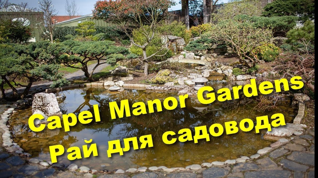104. Сады Capel Manor - центр садоводства и ландшафтного дизайна.