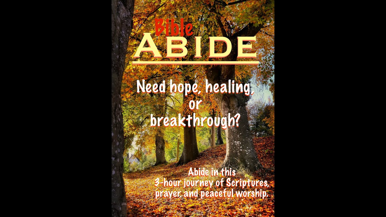 Abide in Christ – 3 Hours of Soaking Scripture & Prayerful Reflection