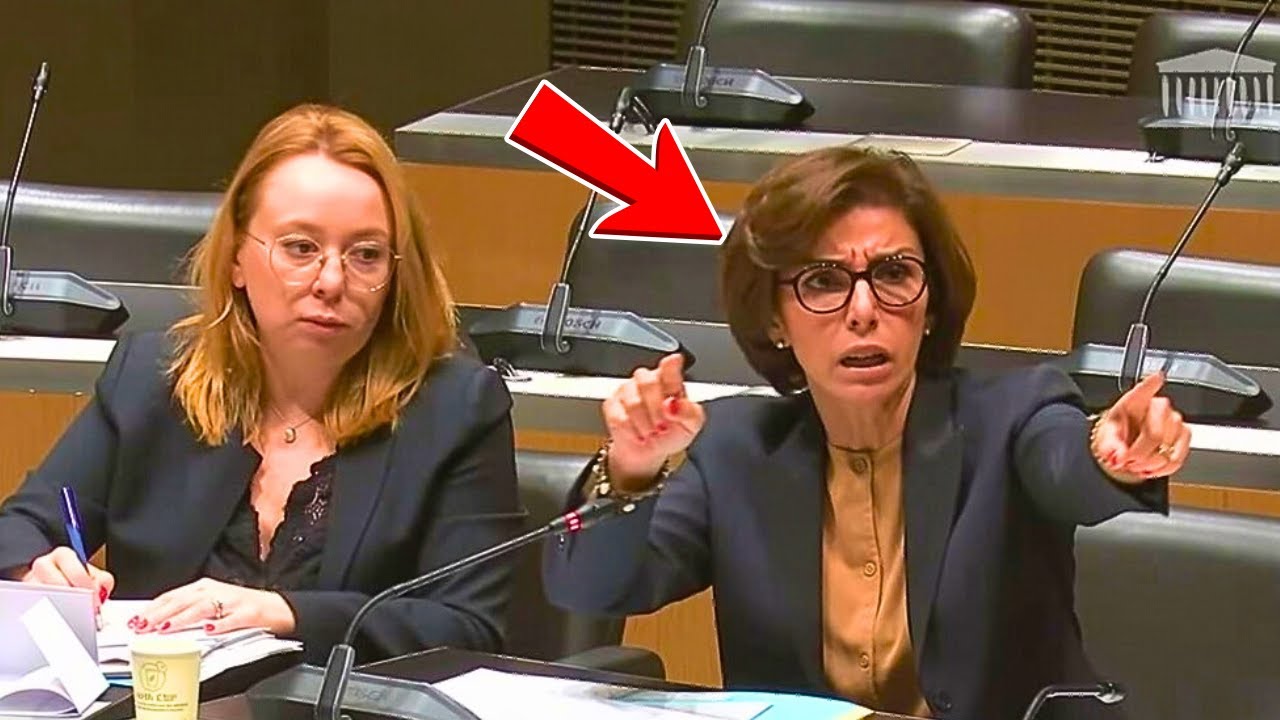 Députée glousse pendant l'audition... la Ministre EXPLOSE : « Ça me fait pas rire ! »