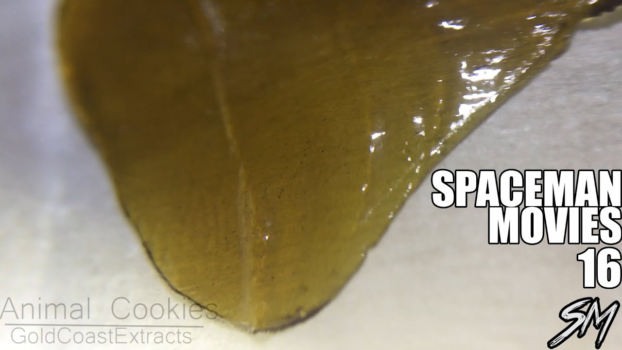 Dab Sesh Edit with Spaceman