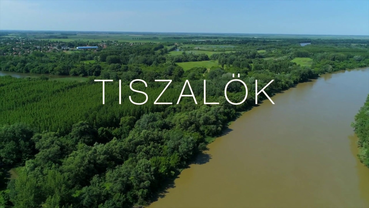 Tiszalök