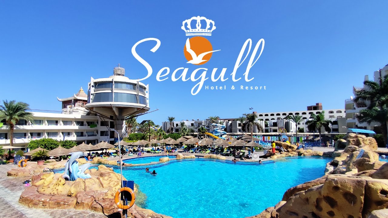 Vizitând malul Mării Roșii: Seagull Hotel & Resort