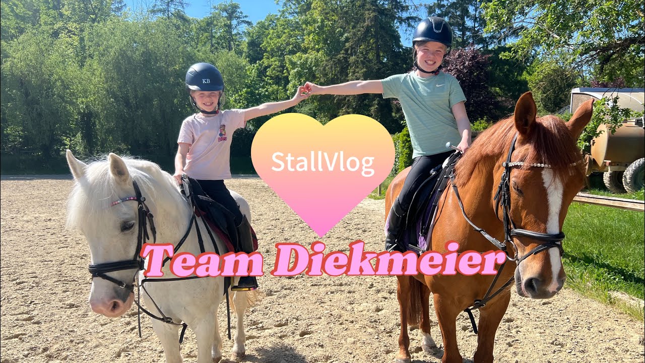 Unser StallVlog