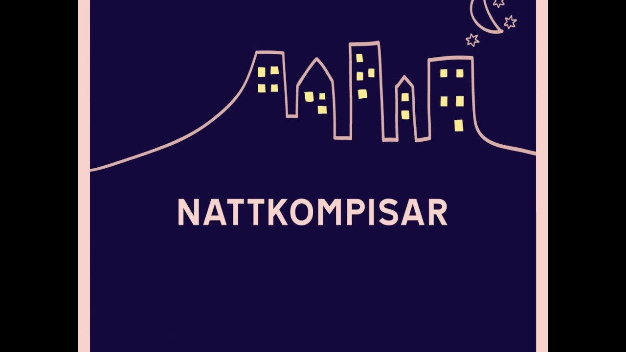 Bli Volontär / Nattkompis