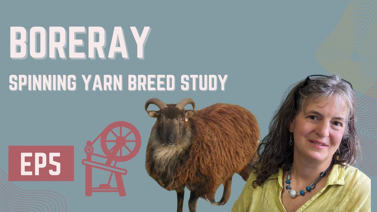 Watch This Rare Breed Wool Turn Into Hand Spun Yarn!