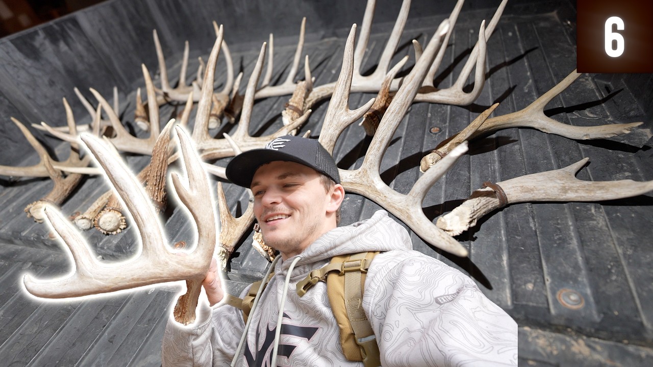 Back-to-back BIG Sheds! Urban Bucks + 5 Antlers on 2nd Search!