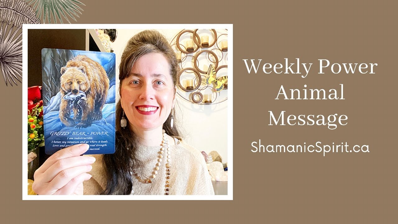 Jan 24-30, 2026: Weekly Power Animal Message And Crystal Healing Talisman Grizzly bear symbolism