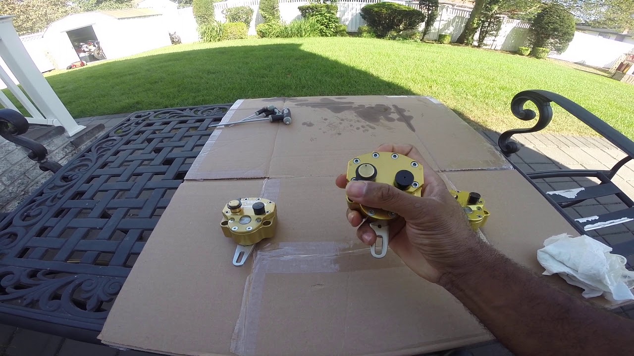 Scotts Steering damper or eBay brand