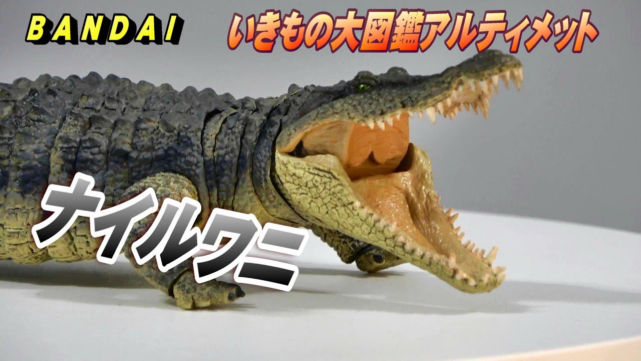 《ナイルワニ》いきもの大図鑑アルティメット 開封レビュー!!【フィギュア】