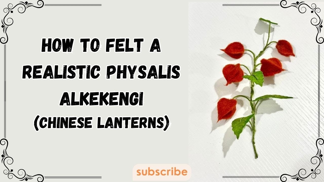 HOW  TO FELT A REALISTIC PHYSALIS ALKEKENGI _CHINESE LANTERN