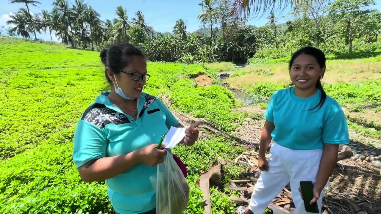Покупаю материалы для строительства комнаты для Сонни Боя с использованием материалов из крафт-бу...