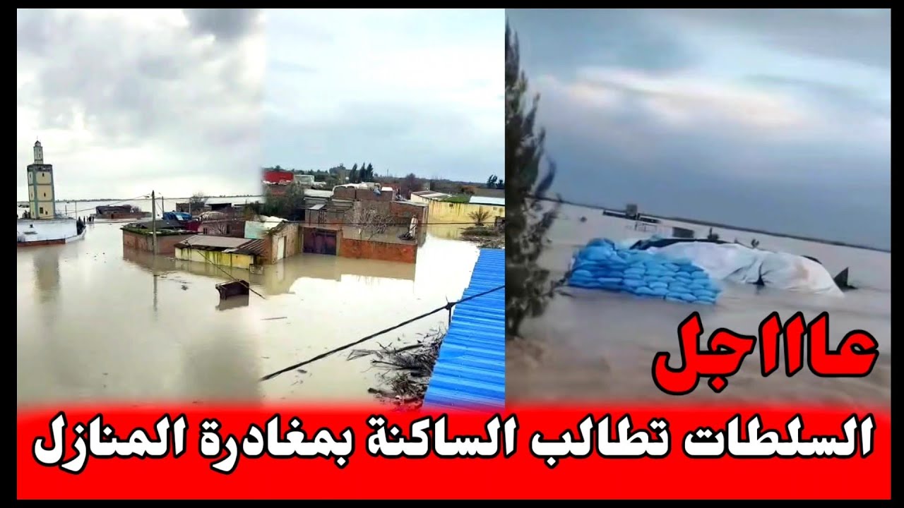 عاااجل 🚨🚨🚨 الناس خايفين من واد سبو إقليم سيدي قاسم والسلطات تطالب الساكنة بمغادرة المنازل🥺كولشي غرق.