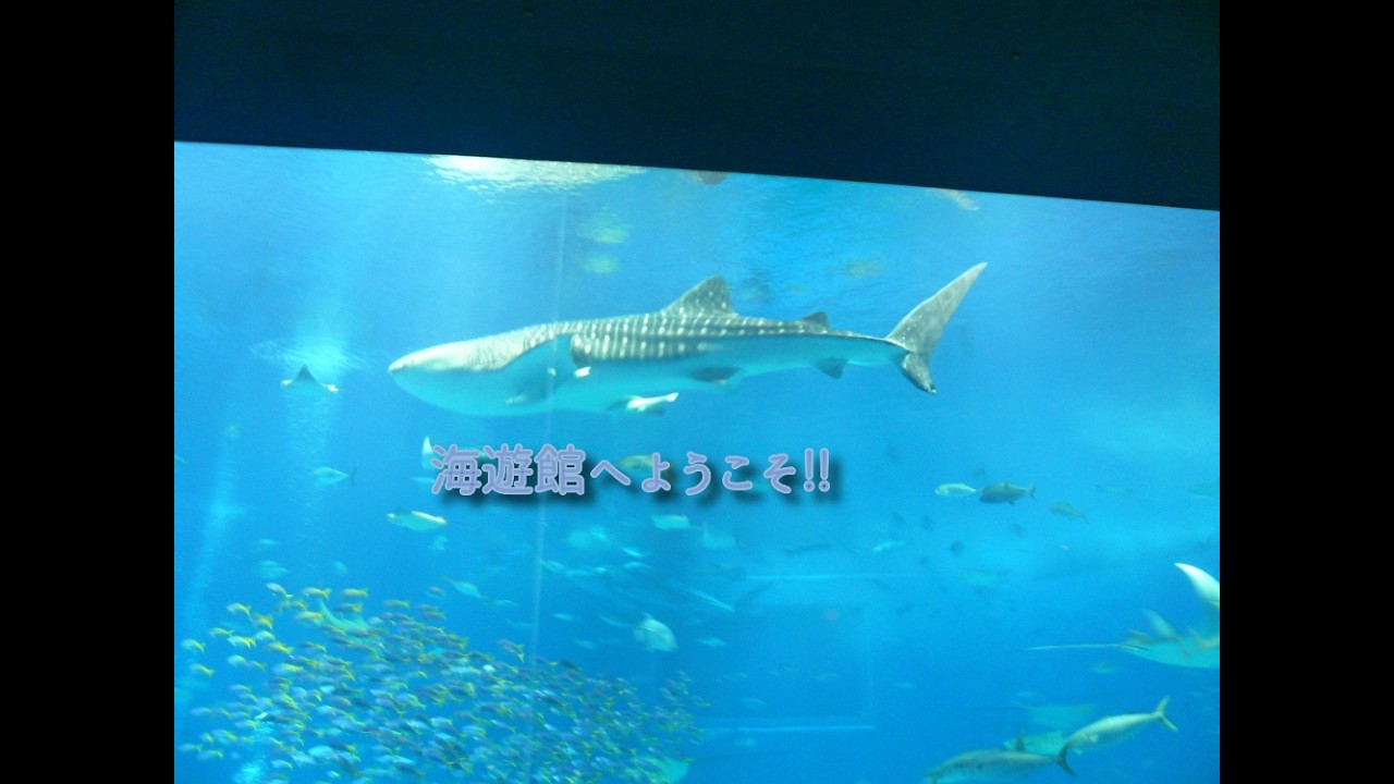 令和８年２月２２日 天保山・海遊館に行ってきました！！