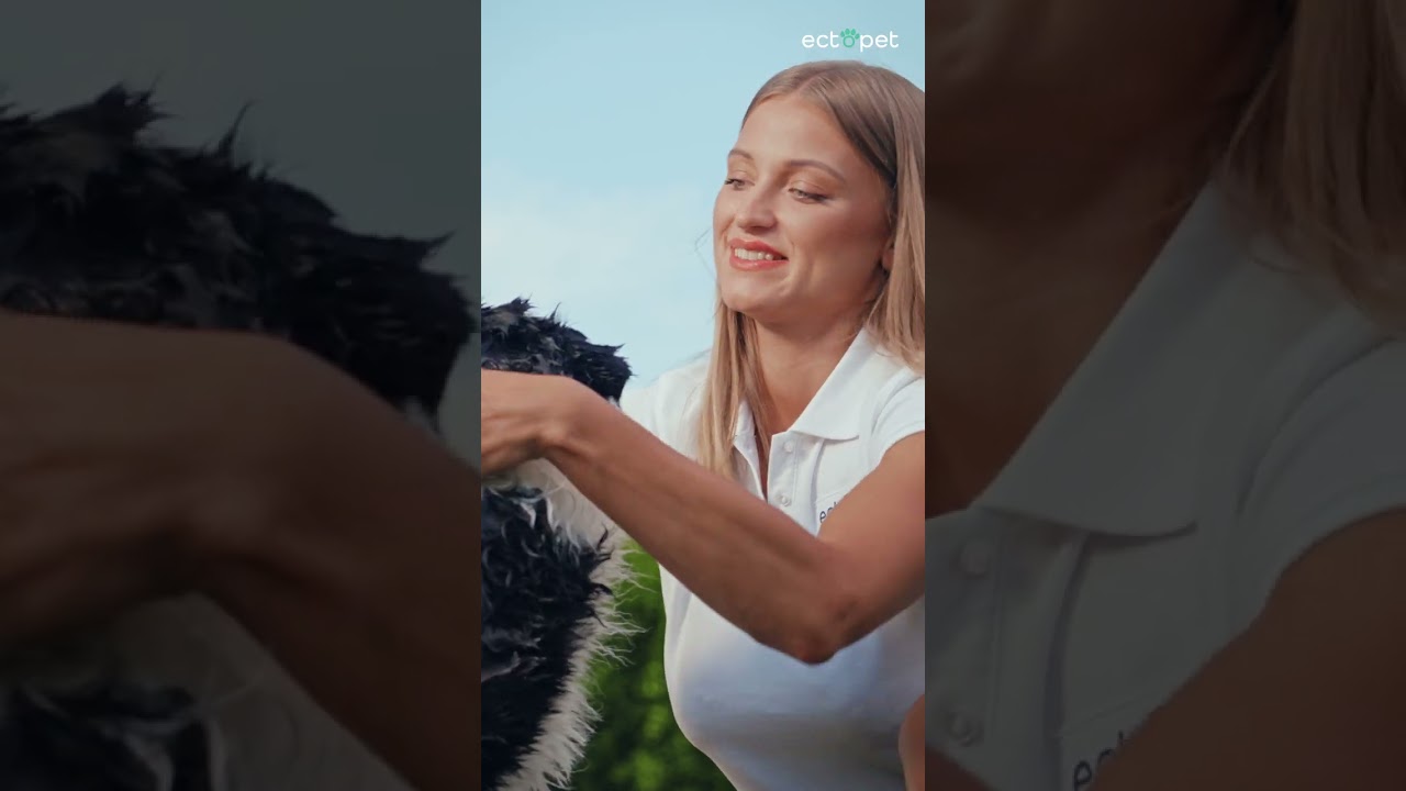 Ectopet clean & care - how to use the product