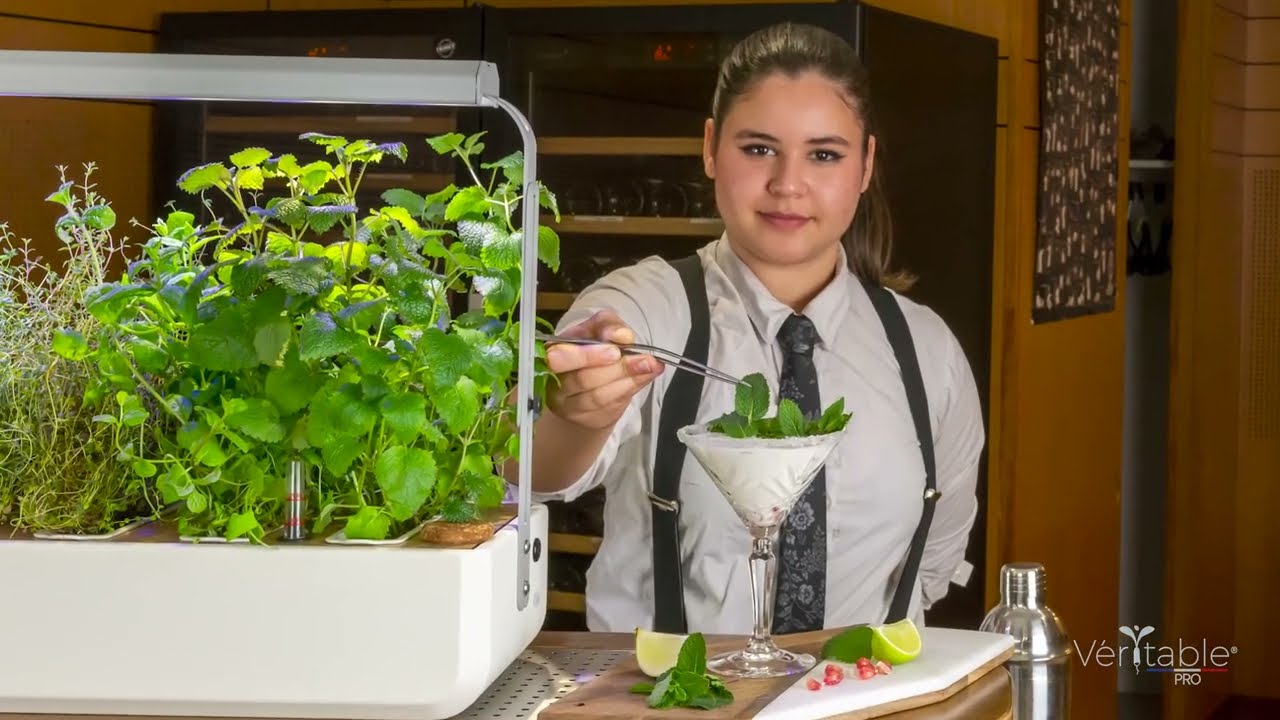 Véritable Pro - CHR - Gourmet - L'allié indispensable des plus grands chefs