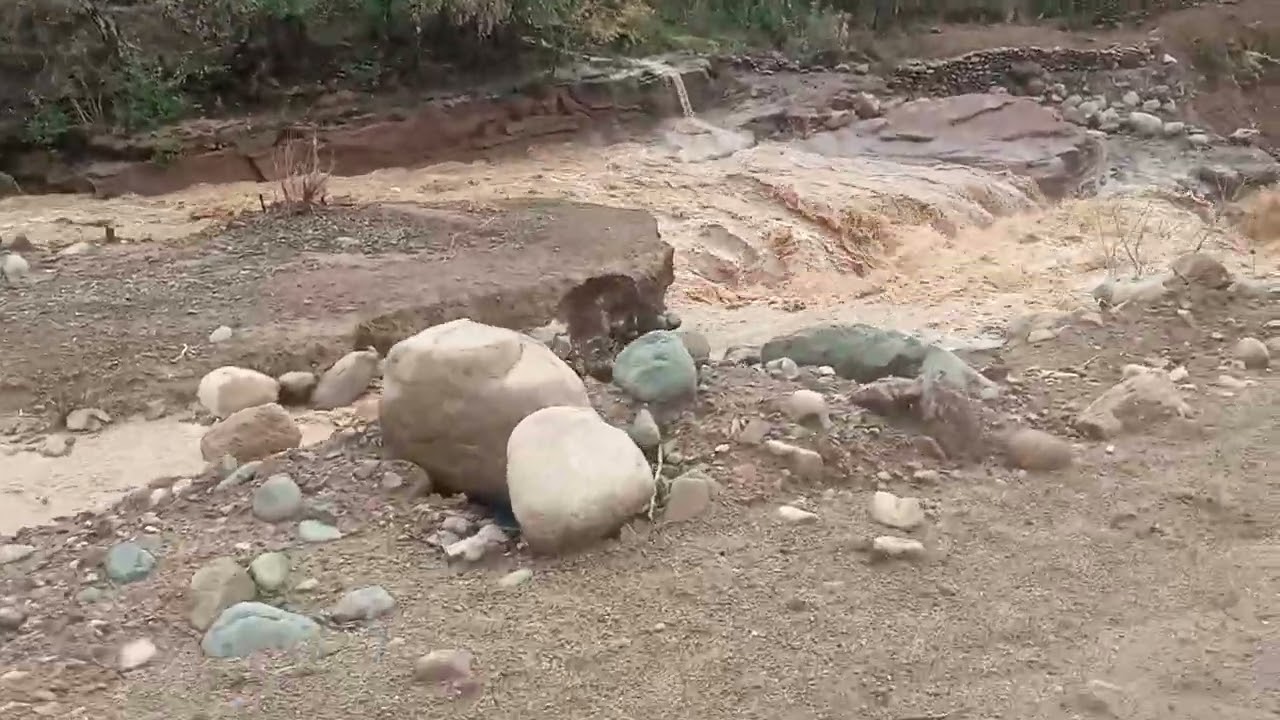 الواد