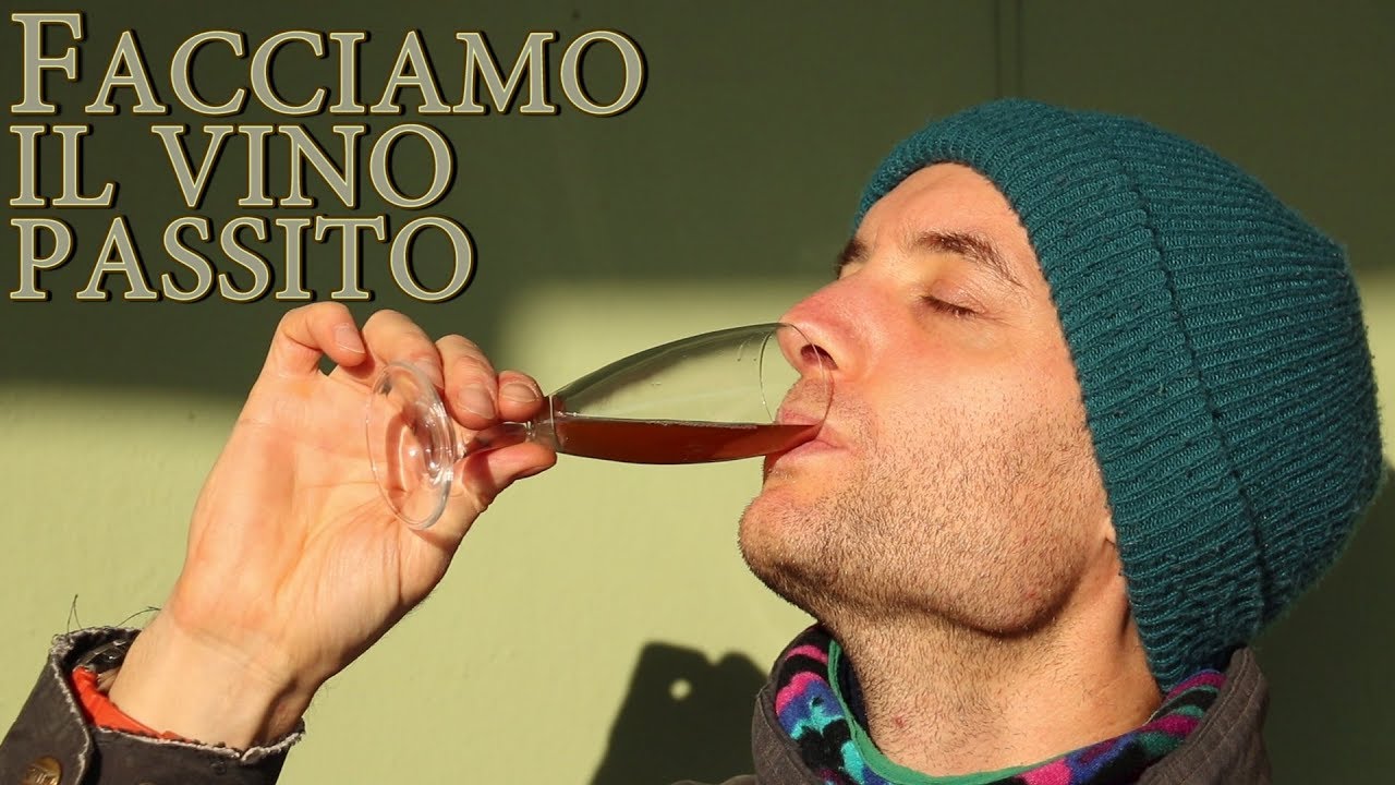 Facciamo insieme il VINO PASSITO dalla vendemmia alla degustazione