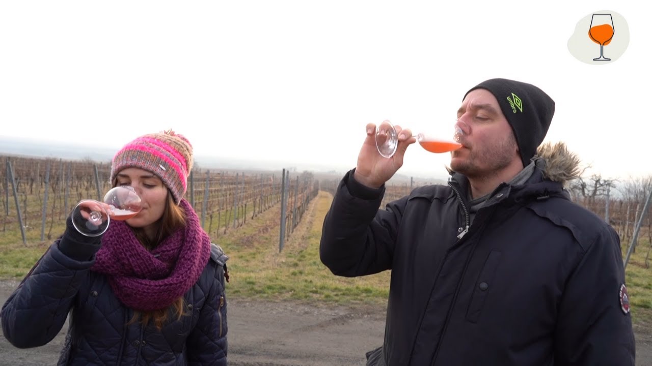 &Oacute; Strekov, raj natur&aacute;lnych v&iacute;n! C-Winery a Zoliho vin&aacute;rstvo.