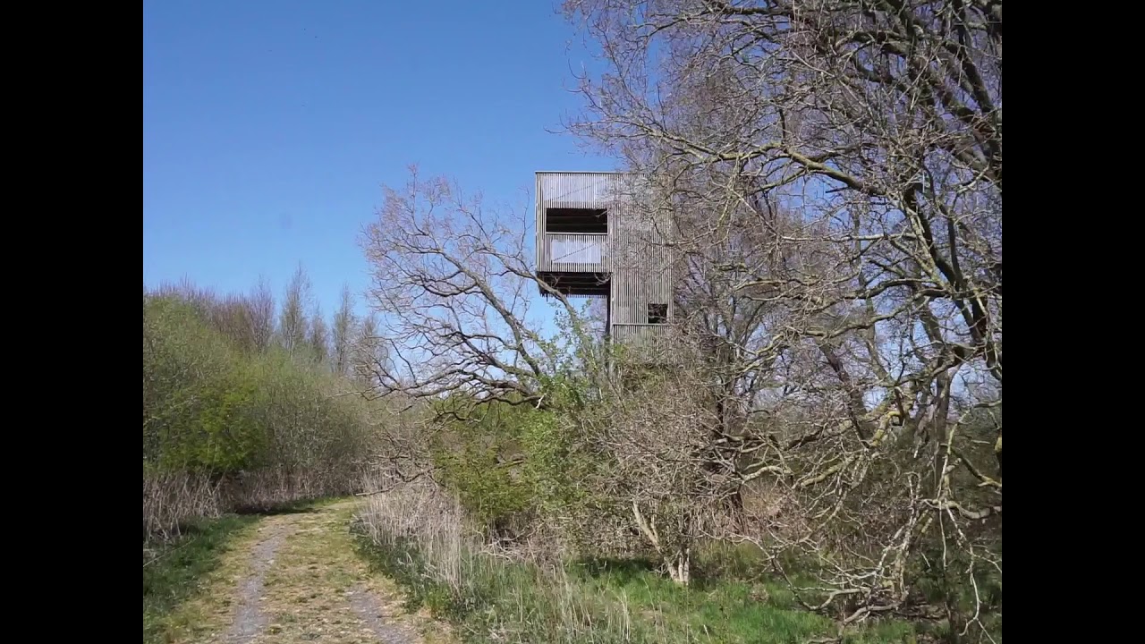 Rundgang durch den Bollenhagener Moorwald, Wesermarsch