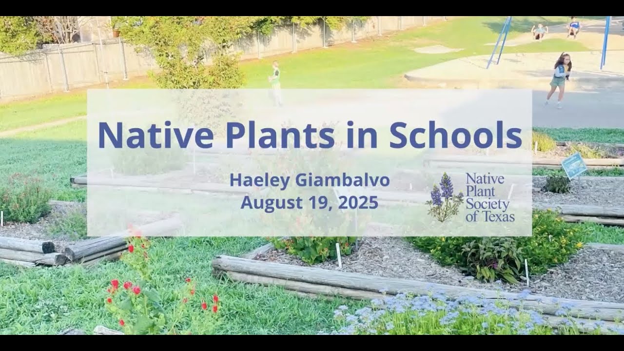 Aug25 Meeting Presentation