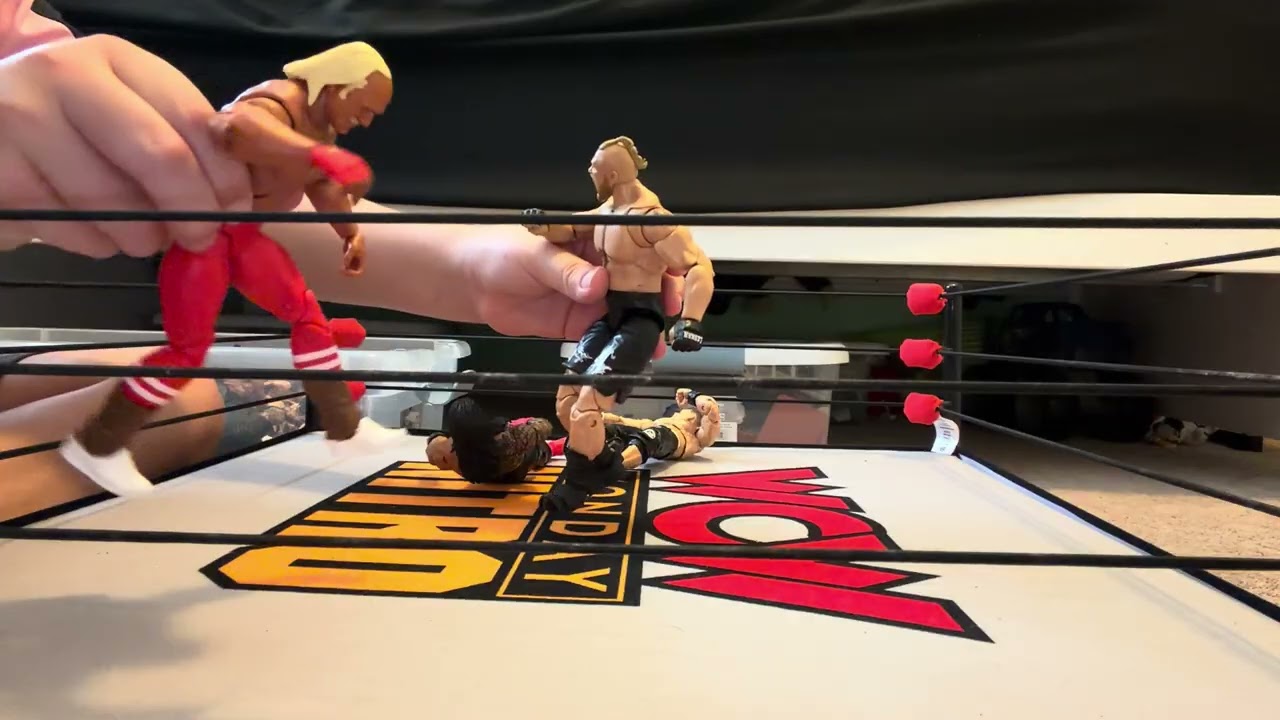 Royal Rumble 15 men