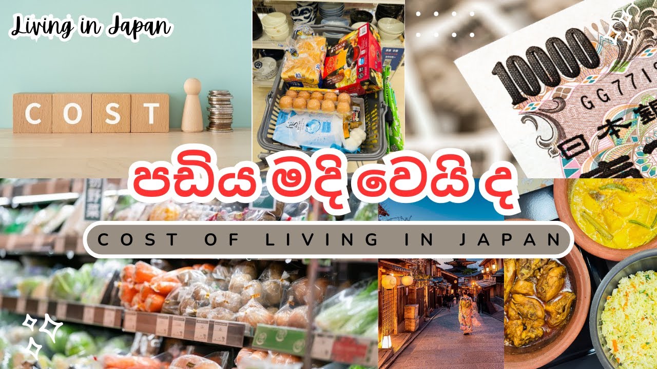 👉පඩිය මදි වෙයි ද l ජපානයේ ජිවන වියදම 💪l Japan Living Cost🤑 l Sinhala l Dil in Japan 💥