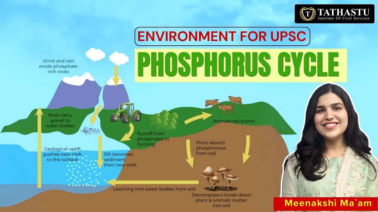 Biogeochemical Cycles| Phosphorus Cycle| Environment & Ecology Series| Meenakshi Ma'am |#tathastu