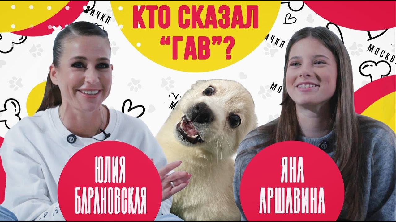 Кто сказал «Гав»? ЮЛИЯ БАРАНОВСКАЯ и ЯНА АРШАВИНА о любви к животным и спасении морского котика