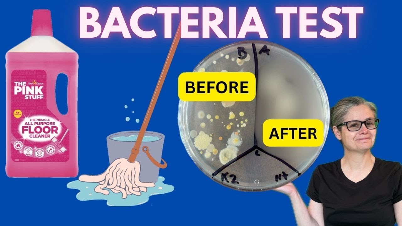 I Bacteria Tested The Pink Stuff Floor Cleaner: Here is What Grew!