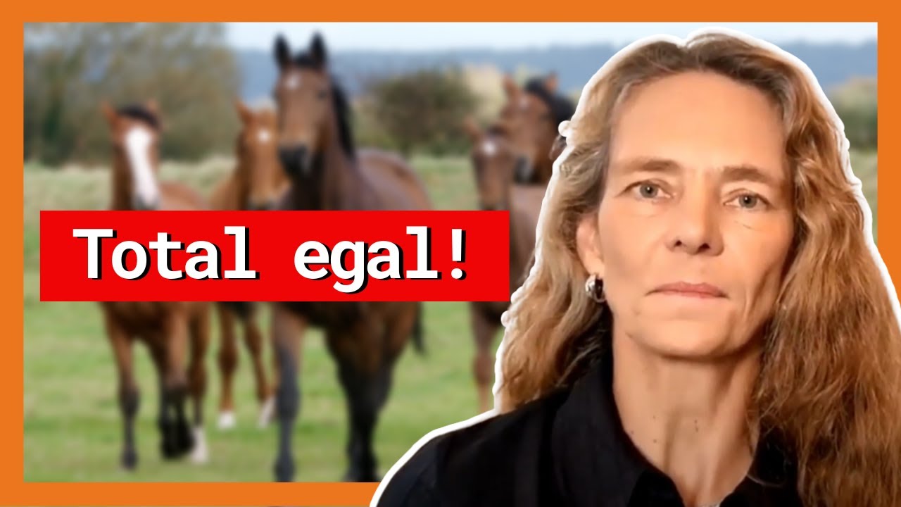 Dein Pferd ist rangniedrig? DAS musst du wissen!