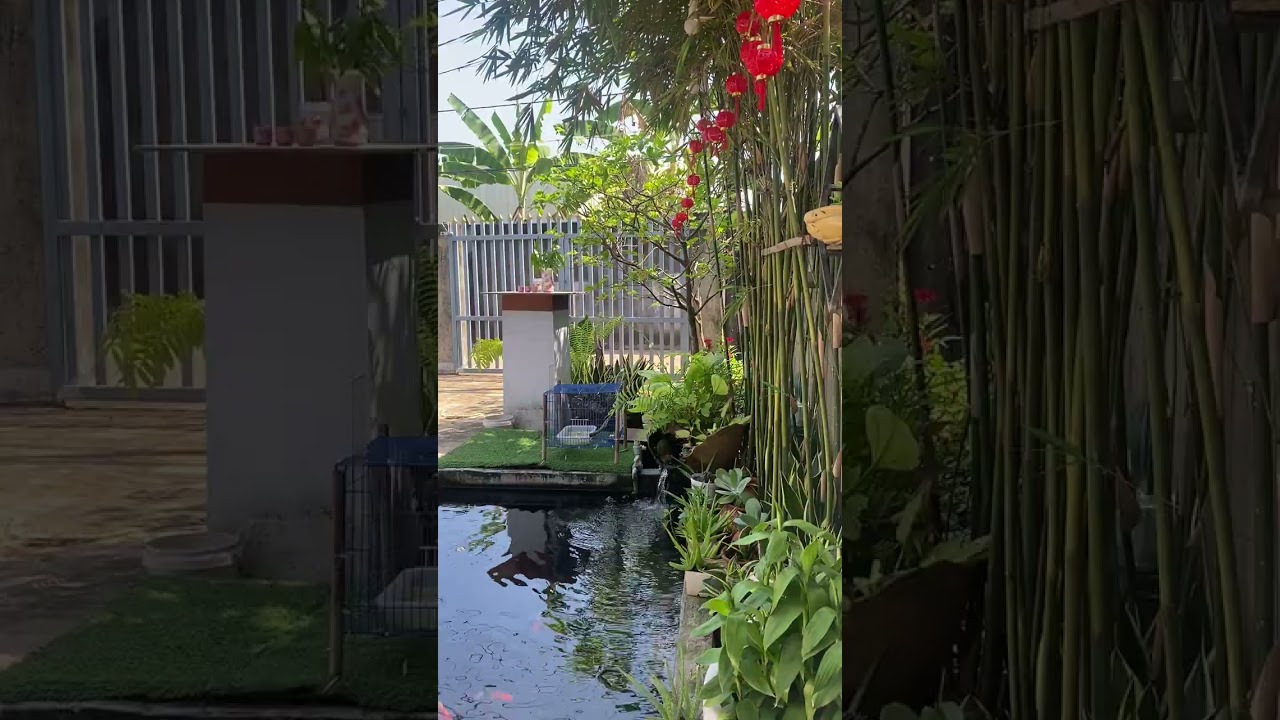 Âm thanh yên bình 🌻🌻