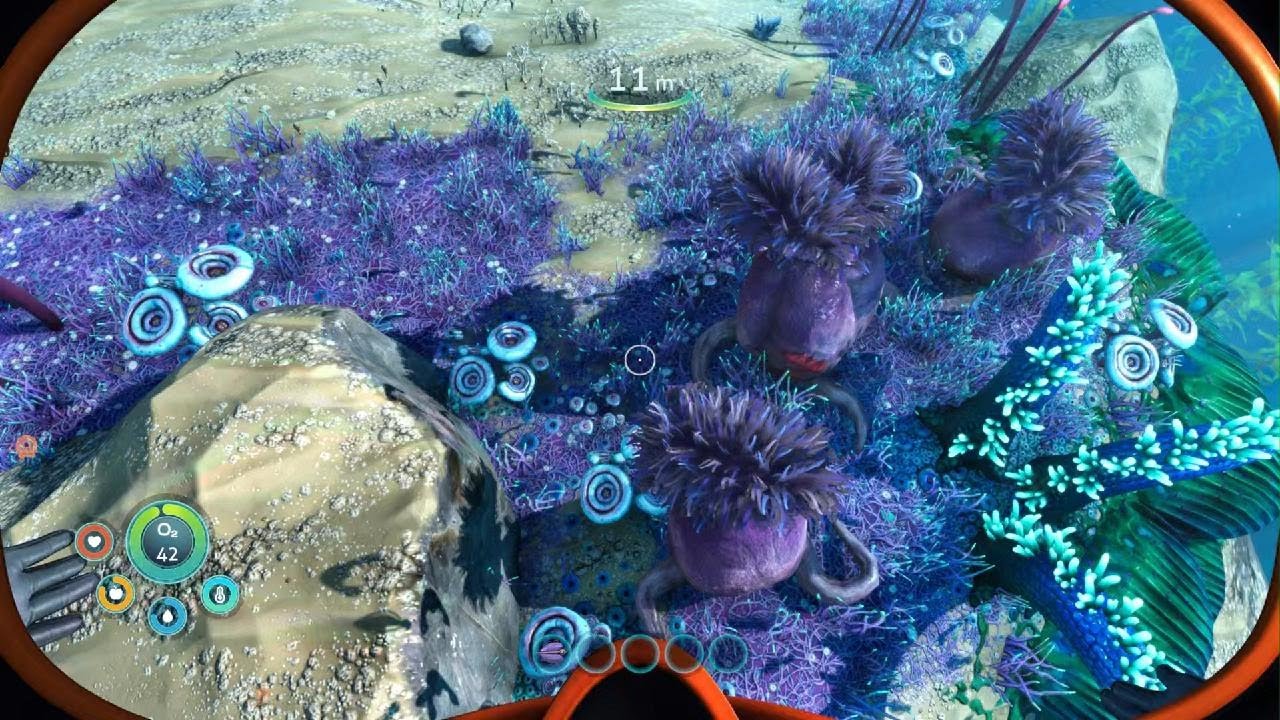 Sleeping with da fishes?