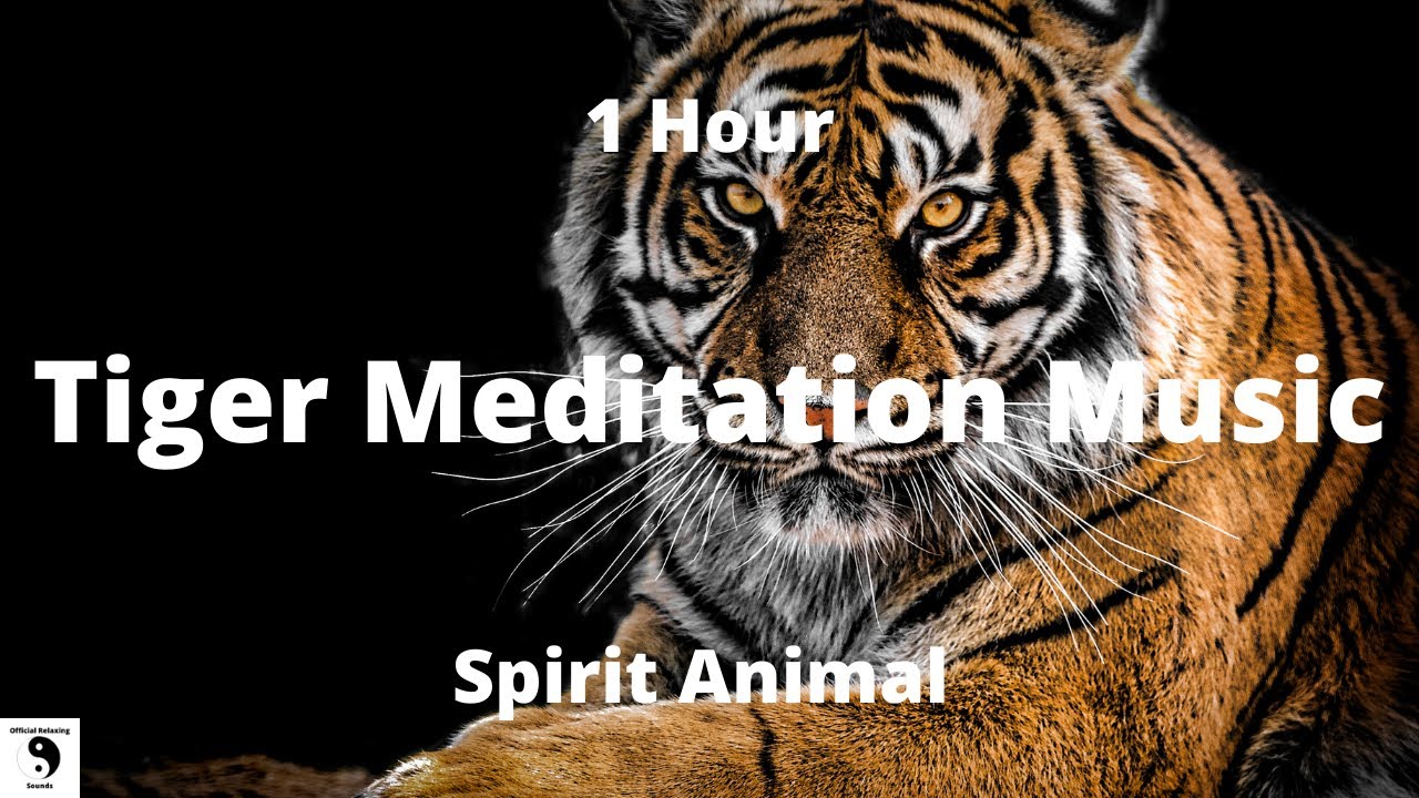 Tiger Meditation Music - Relax Mind Body - Relaxing Music - Spirit Animal - 1 Hour