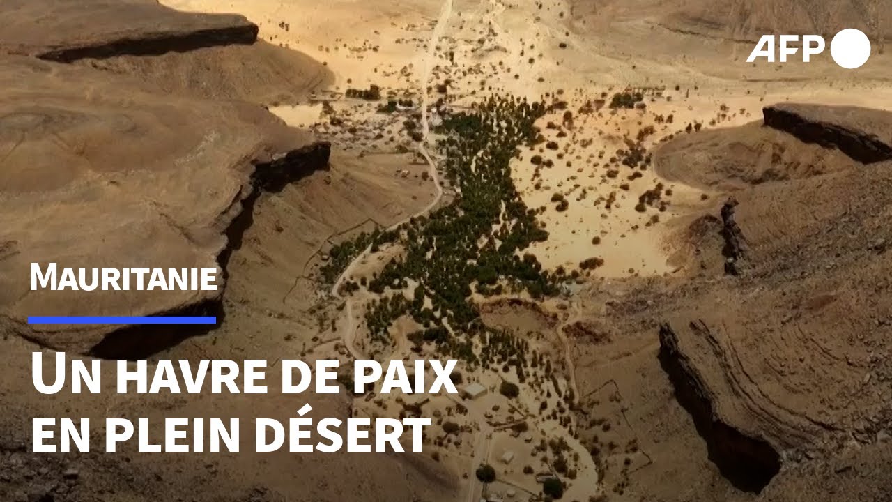 Entre dunes et montagne de Mauritanie, l'oasis de Maaden, utopie fraternelle