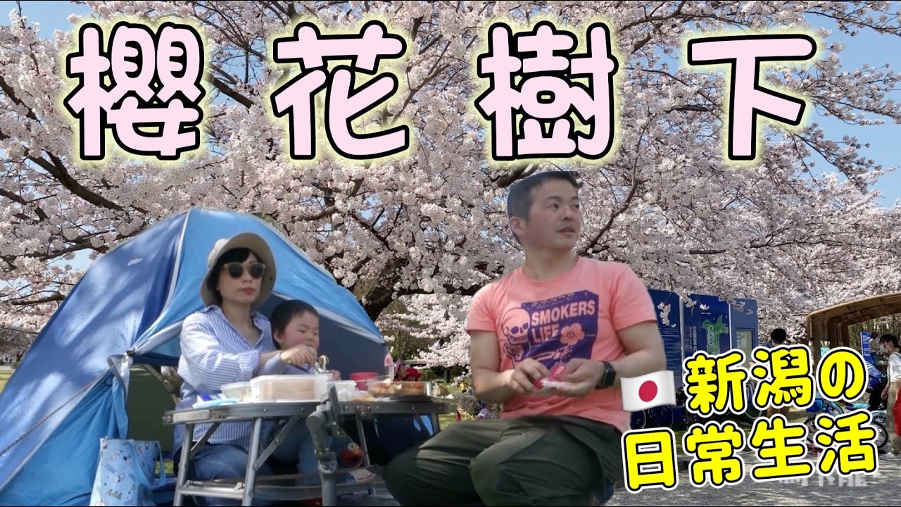 【日本🇯🇵生活體驗Vlog】新潟2022 櫻花樹下賞花 享受悠閒的一天 ｜港日家庭在日本鄉下的生活節奏