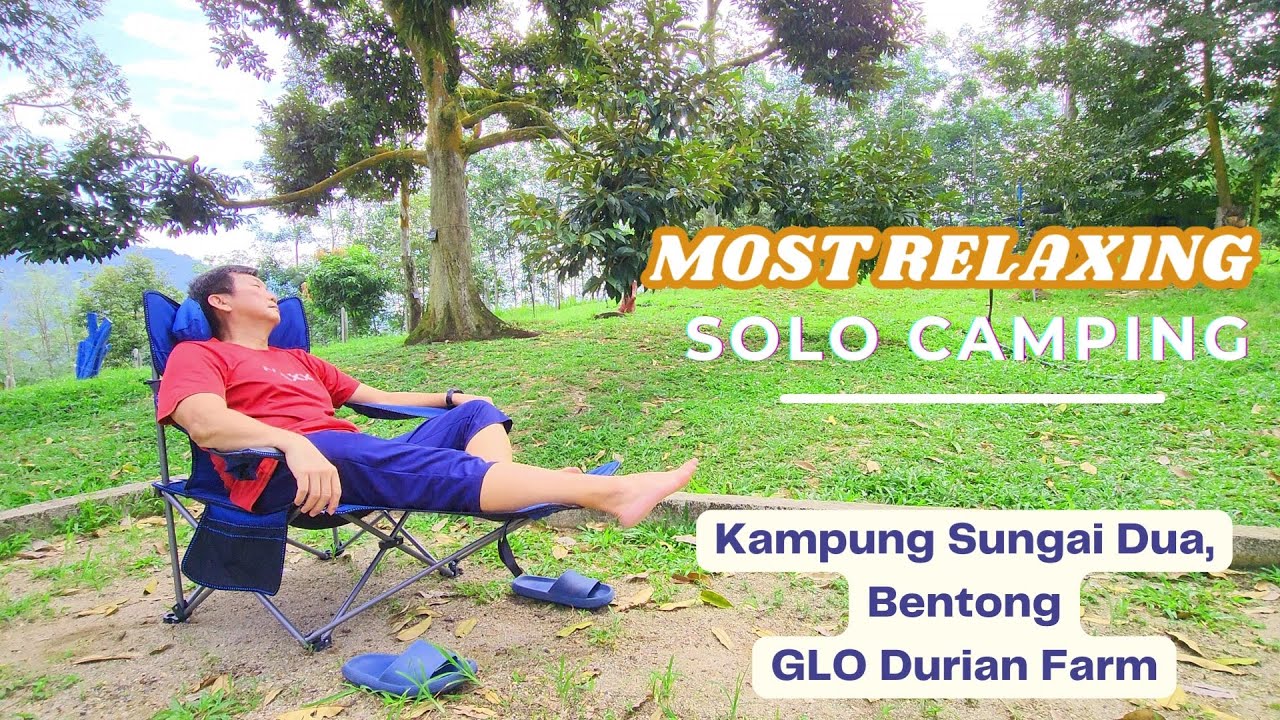 ASMR Relaxing SOLO Camping. From Sunrise to Durian Harvest: Exploring the Beauty of GLO Durian Farm