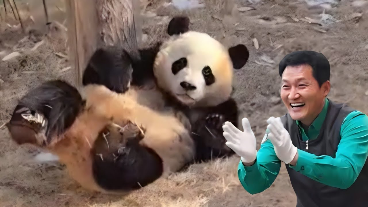 세컨하우스 2월19일 너무 귀여운 후이 