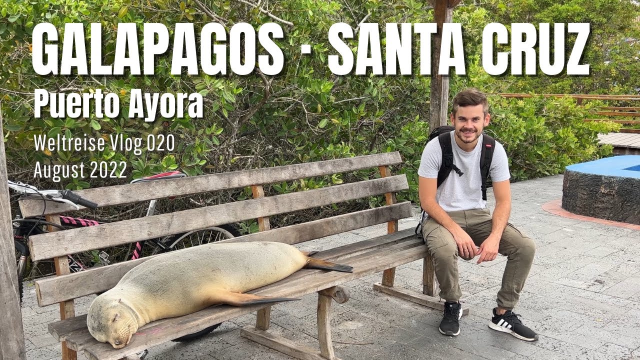 Galapagos | Santa Cruz - Puerto Ayora | Ecuador • Weltreise Vlog 020