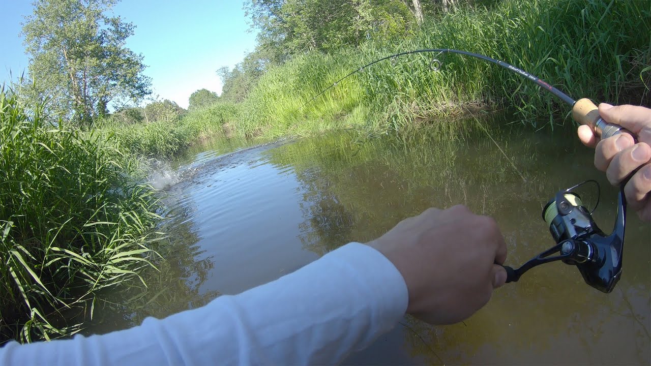 Upėtakių žvejyba mažame upelyje ir asmeninis REKORDAS!