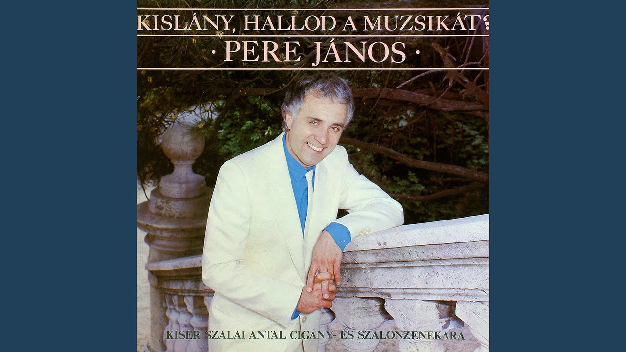 Rózsafa virít az ablakom alatt / 