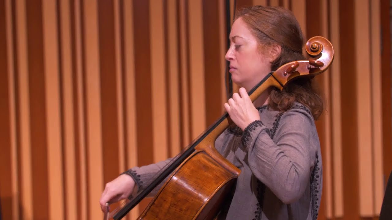 Beautiful Nordic Folk Tunes by VSO Musicians.